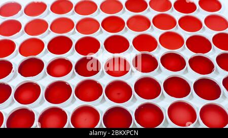 Close up view of set of clinical samples of red liquid in round plastic containers on a white surface Stock Photo