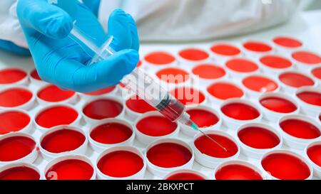 Close up of man hand with blue glove holding a syringe taking a sample of red liquid from a group of round red clinical samples on a white surface Stock Photo