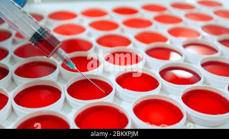 Close up of syringe taking a sample of red liquid from a group of round red clinical samples on a white surface Stock Photo