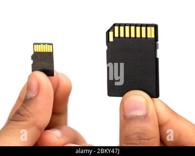 SD card with micro SD Card or adapter, selective focus Stock Photo