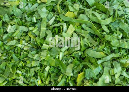 Chopped palak (spinach) , close-up , full depth of field Stock Photo