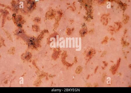 Bright rust stains texture paint showing through to rust underneath Stock Photo