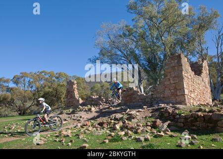 Mountain bikers ride the Mt Remarkable MTB trails, Melrose, South Australia, Australia Stock Photo