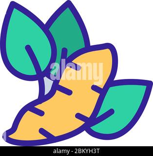 sweet potato sprouted with leaves icon vector outline illustration Stock Vector