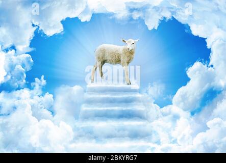 Feast of the Sacrif. Sheep on cloud stairway. Eid al-Adha Mubarak. Feast of the Sacrifice Greeting. Turkish: Kurban Bayraminiz Kutlu Olsun Stock Photo