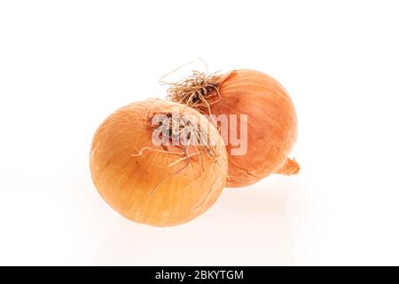 Two Onions orange isolated on white background Stock Photo