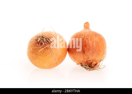 Two Onions orange isolated on white background Stock Photo