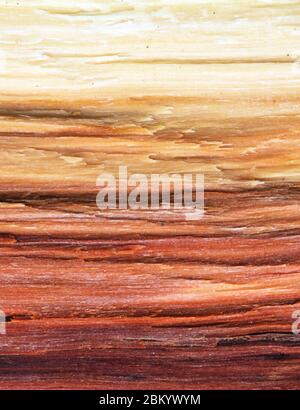 Wood board with light and dark lines Stock Photo