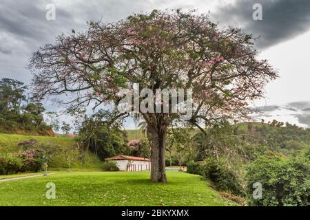 Park, Fazenda Cachoeira Grande, 1820s, near Vassouras, Rio de Janeiro state, Brazil Stock Photo