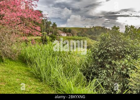 Park, Fazenda Cachoeira Grande, 1820s, near Vassouras, Rio de Janeiro state, Brazil Stock Photo