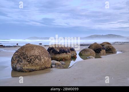 Strange rock formations created by the cementation of the Paleocene mudstone on Moeraki boulders beach at sunset on a cloudy day. Stock Photo