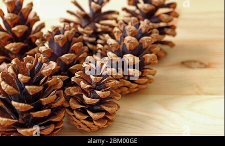 Closeup many of natural dry pine cones on the wooden background Stock Photo