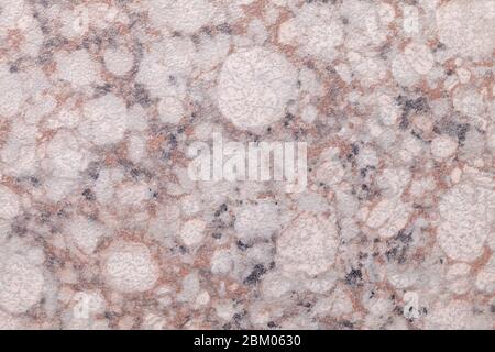 Texture of pink and white marble with spotted pattern, macro background. Light brown and rose stone backdrop from mineral tile, closeup. Stock Photo