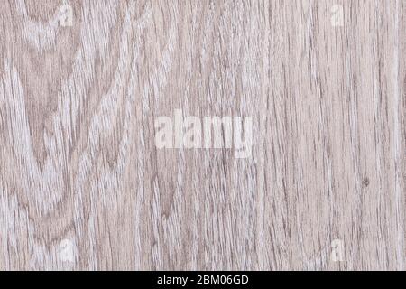 Light brown and white shabby vintage laminate . Wooden texture background, closeup. Structure of old gray decorative wood backdrop with gnarled patter Stock Photo