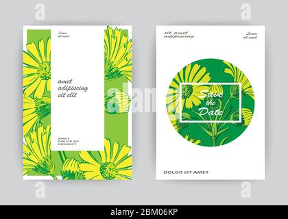 Hand drawn close-up Chrysanthemum flower artistic vector illustration. Botanical wedding flowers. Petals painted in yellow Floral trendy pattern Greet Stock Vector