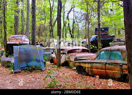 Hoods and Trunks in Junkyard Stock Photo