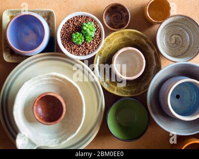 Succulent  plant in the ceramic pots adapted from ceramic bowls Stock Photo