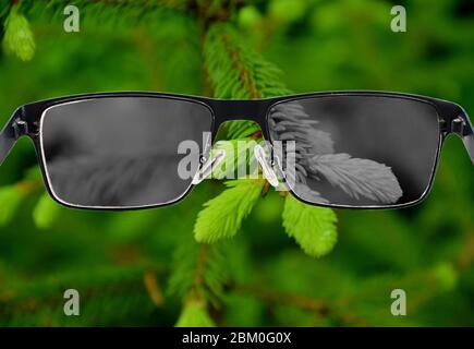 Looking through glasses to bleach nature landscape with green fresh pine needles. Color blindness. World perception during depression. Medical conditi Stock Photo