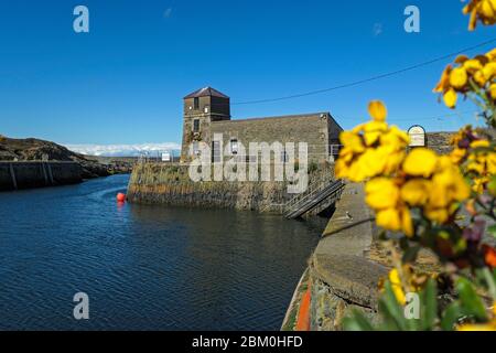 Amlwch Port. During C-10 Lock down. Stock Photo