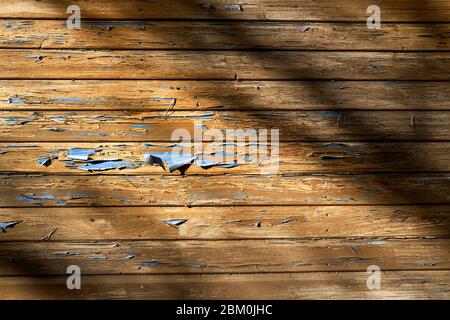 Peeling blue paint with light and shadows on wooden paneled wall Stock Photo