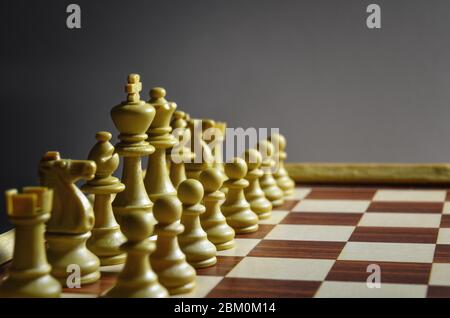 Chess board with white pieces in position and gray background Stock Photo