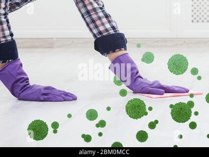 Close up of female hands cleaning floor, fighting against invasion of germs, collage with virus cells Stock Photo
