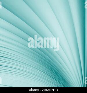 Blurred. Macro view of book pages. Toned Stock Photo