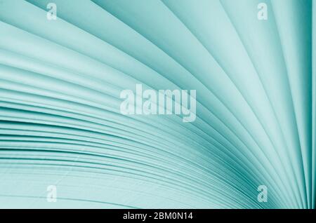 Blurred. Macro view of book pages. Toned Stock Photo