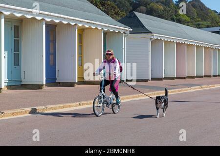 Bournemouth, Dorset UK. 6th May 2020. UK weather: lovely warm sunny day with temperatures rising ready for the long bank holiday weekend.  Beaches are mainly deserted with people taking their permitted exercise at the seaside, most adhering to the Coronavirus guidelines.  Woman cyclist cycling along promenade with dog on lead past beach huts - riding bike bicycle. Credit: Carolyn Jenkins/Alamy Live News