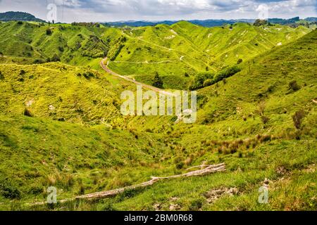 View from Tahora Saddle, old railway tracks, Forgotten World Highway (SH43), Manawatu-Wanganui Region, North Island, New Zealand Stock Photo