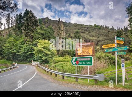 Forgotten World Highway (SH43), near Raekohua Waterfalls, Manawatu-Wanganui Region, North Island, New Zealand Stock Photo