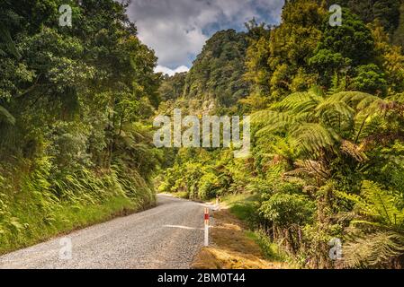 Tangarakau Gorge, Forgotten World Highway (SH43), soon to be paved, Manawatu-Wanganui Region, North Island, New Zealand Stock Photo