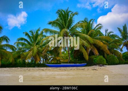 Beautiful scene of exotic paradise: white sand beach, blue wooden canoe. in the back rich, lushy palm trees under blue sky. Tropical nature background Stock Photo