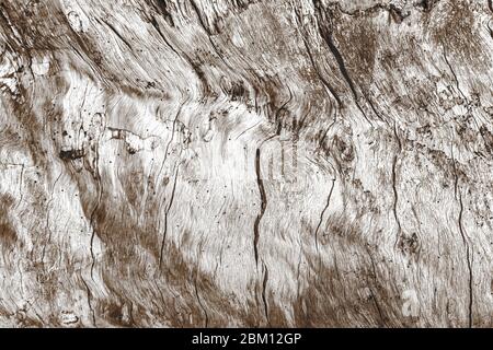 Old natural wood texture, background pattern of old wood Stock Photo