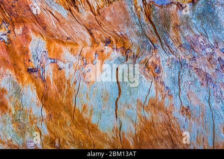 Old natural wood texture, background pattern of old wood Stock Photo