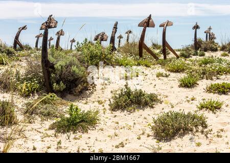 Tavira, Portugal. The Cemiterio das Ancoras (Anchor Cemetery), a major landmark in Praia do Barril beach in Ilha de Tavira island Stock Photo