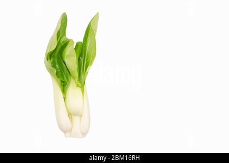 Healthy pak choi on a white background. Brassica rapa. Fresh pak choi - a leafy green Chinese cabbage lying on the left. Stock photo, place for text Stock Photo