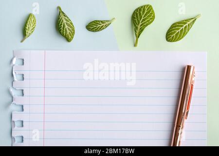 Pastel green blue background with lined paper, pen and green leaves. Top view, lying flat. Space for text Stock Photo