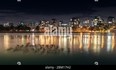 Night Melbourne Stock Photo