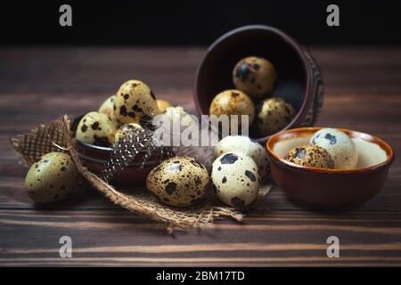 Quail eggs and feathers in a clay plate on a dark wooden background Stock Photo