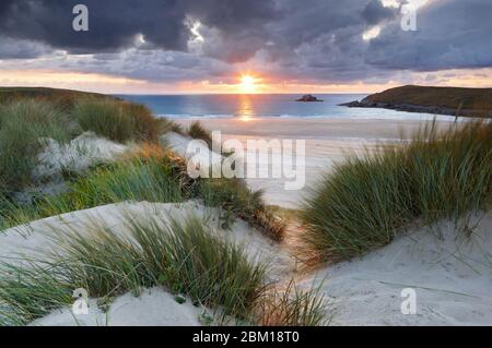 Evening sunlight catching the Marram Grasses along the Cornish coastline at Crantock Stock Photo
