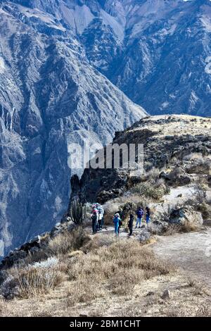 Looking for Condors in the Colca Canyon, Peru Stock Photo