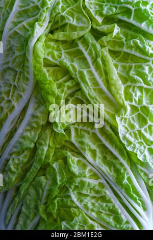 leaf of fresh chinese cabbage or napa cabbage texture Stock Photo
