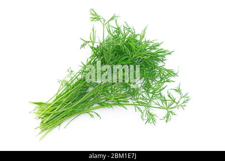 Fresh raw green dill isolated on white background Stock Photo