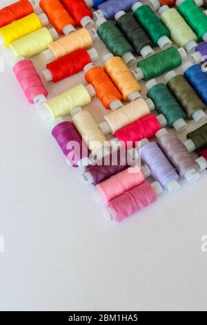 Colorful threads arranged neatly on a white background with a copy space Stock Photo