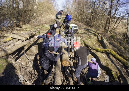 a bridge over a ravine, people build a bridge in the forest, handmade bridge, Russia, Kaliningrad region, Kaliningrad, March 15, 2020 Stock Photo