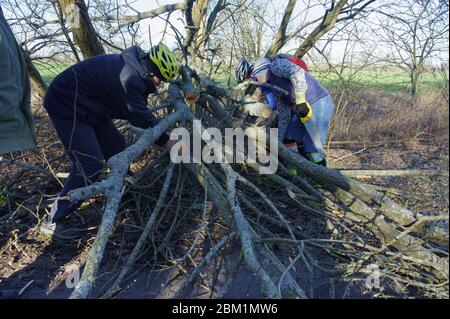 sawing down trees, clearing roads after a hurricane, Russia, Kaliningrad region, Kaliningrad, March 15, 2020 Stock Photo