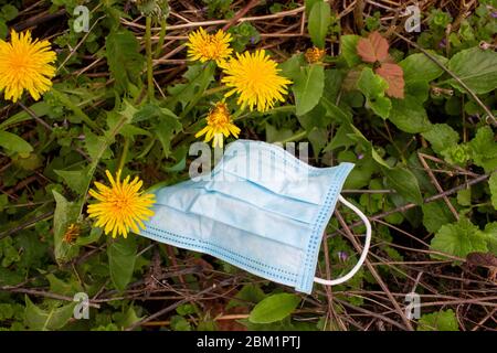 Used surgical mask dumped on the ground during the Covid-19 pandemic. Discarded face mask used to protect the spread of coronavirus lying around pose Stock Photo