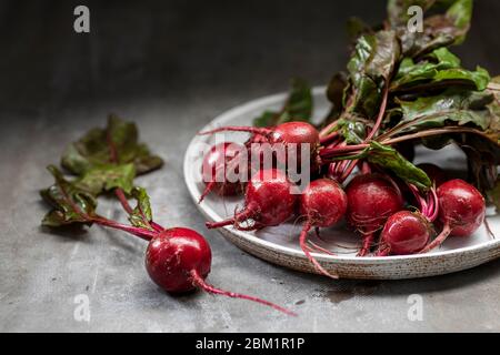 Close up of bundle of beetroots on a plate. One beetroot is placed separately in front of the others. Background is dark, focus is selective. Stock Photo