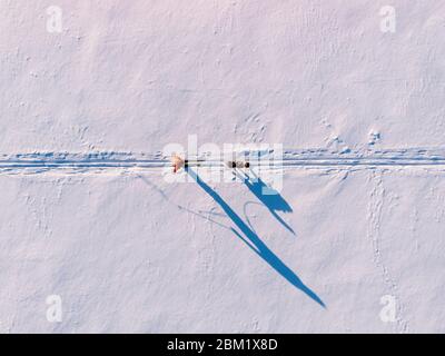 Skijor ski on track with dog malamute. Concept winter holiday. Aerial top view Stock Photo